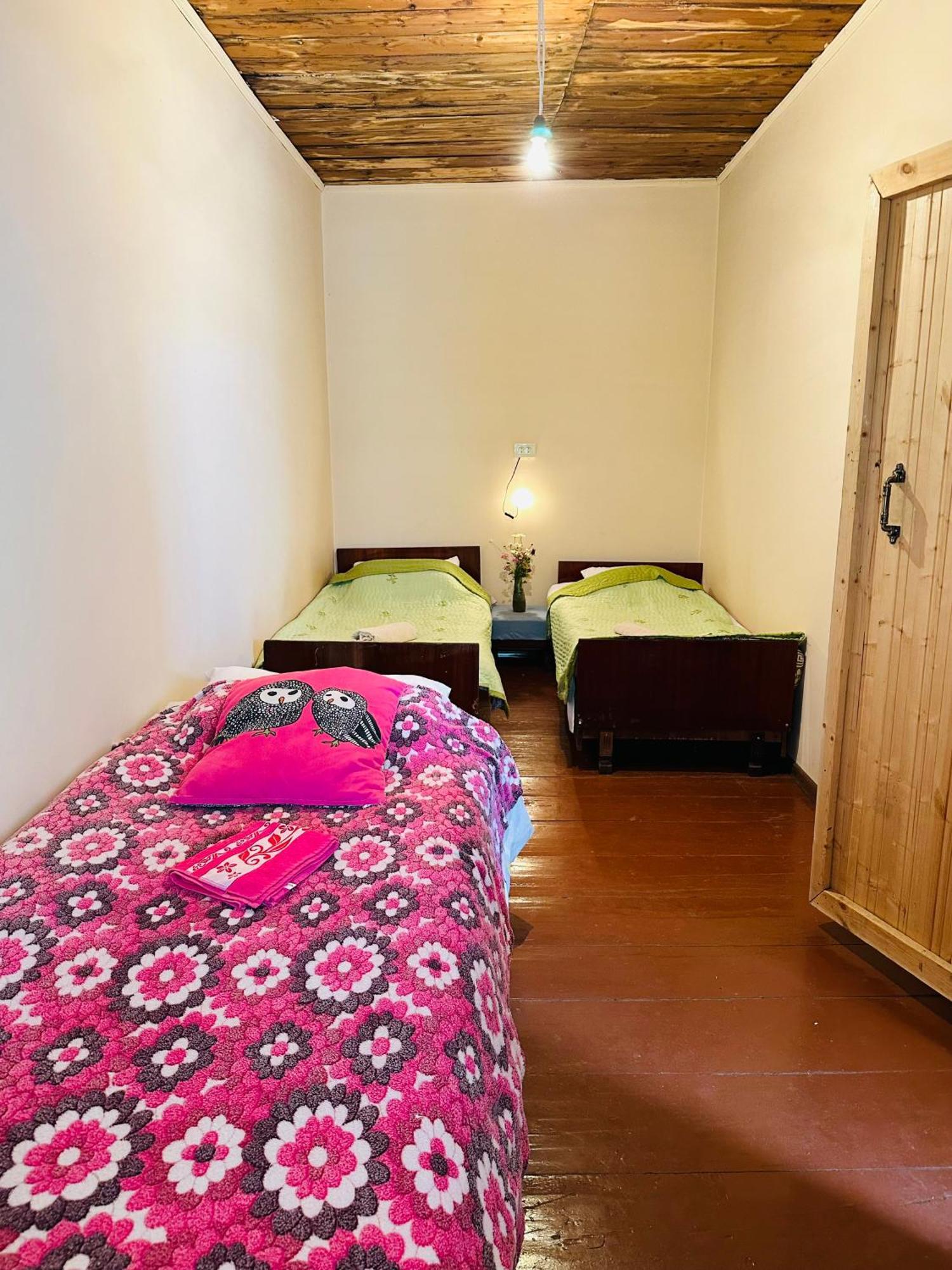 Tamazi Guest House Adishi Bagian luar foto